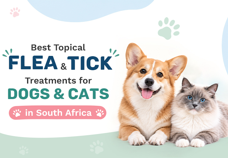 Best Topical Flea & Tick Treatments for Dogs & Cats in South Africa