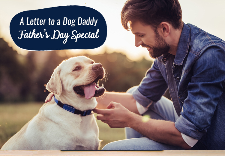 A Letter to a Dog Daddy Fathers Day Special
