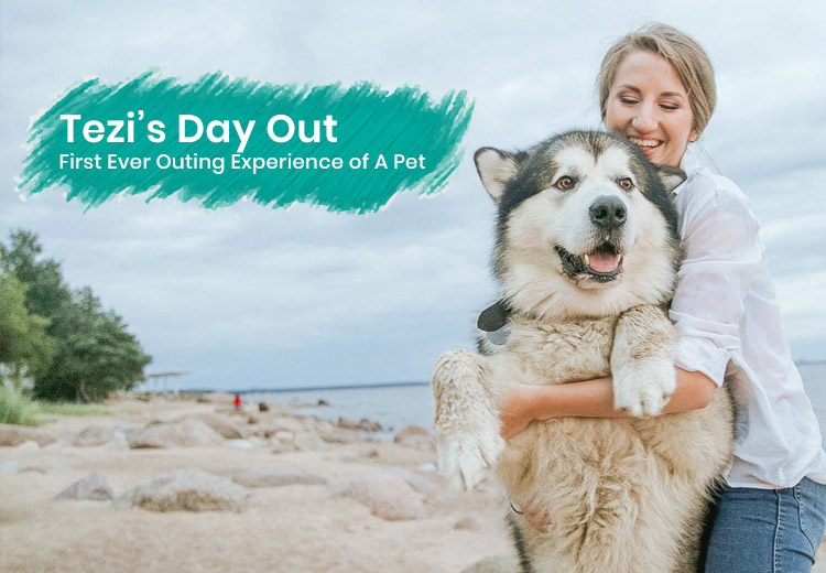Tezi’s Day Out - First Ever Outing Experience of A Pet