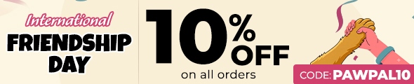 Friendship Day Sale!