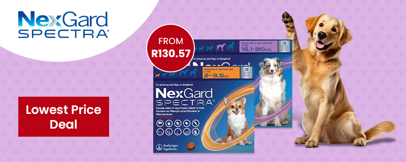 Nexgard Spectra