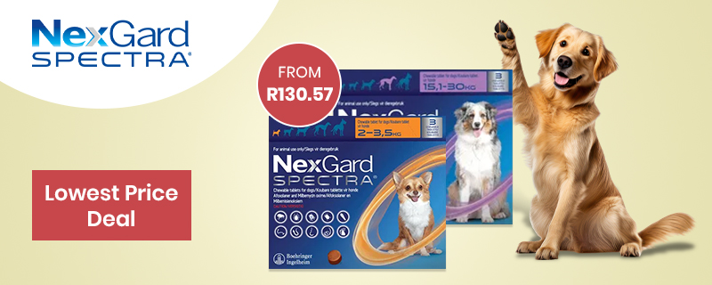 Nexgard Spectra