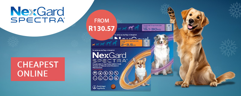 Nexgard Spectra