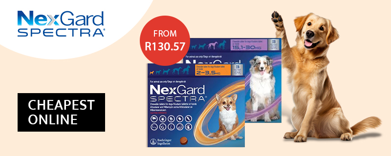 Nexgard Spectra