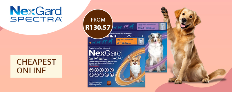 Nexgard Spectra