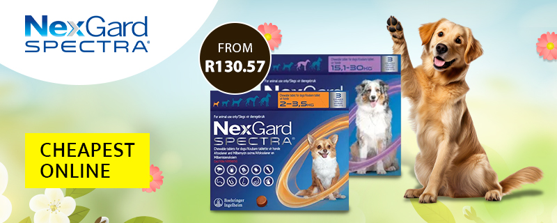 Nexgard Spectra