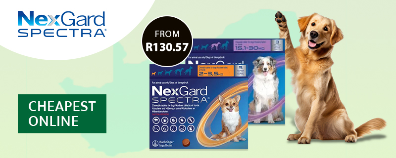 Nexgard Spectra