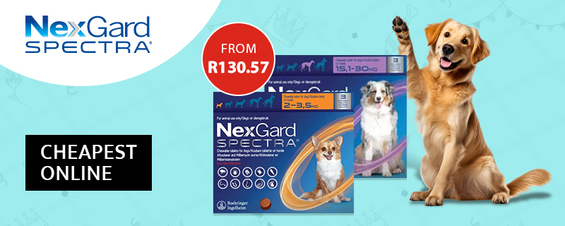 Nexgard Spectra