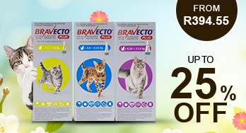 bravecto plus