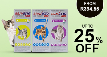 bravecto plus