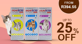 bravecto plus
