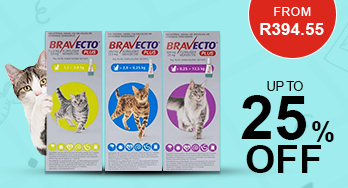 bravecto plus