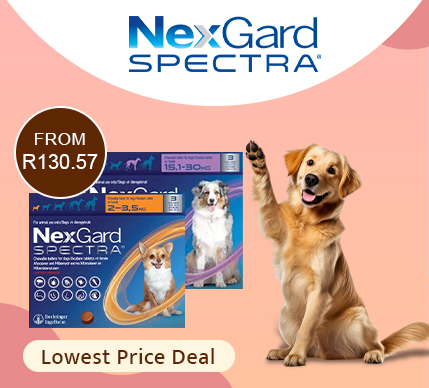 Nexgard Spectra