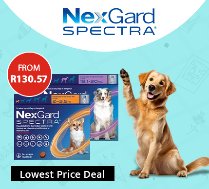 Nexgard Spectra