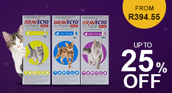bravecto plus