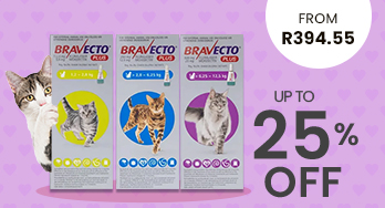 Bravecto Plus