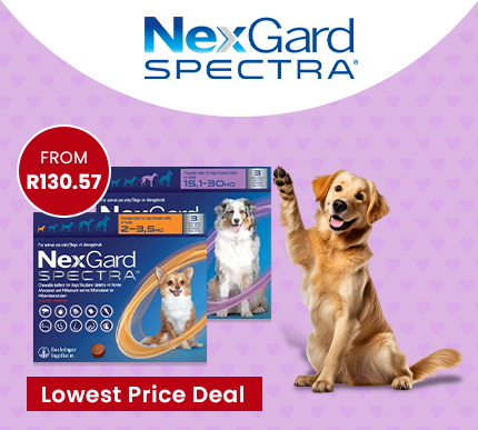 Nexgard Spectra