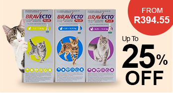 bravecto plus