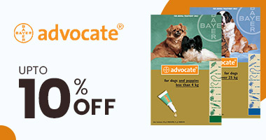 Advocate Dog
