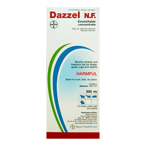 Dazzel.N.F 