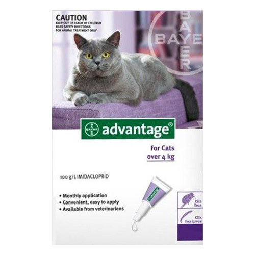 for Large Cats above 4 KG (Purple)