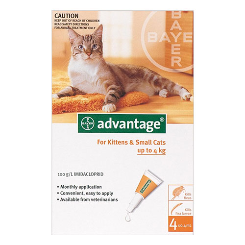 Advantage for Small Cats upto 4 KG (Orange)