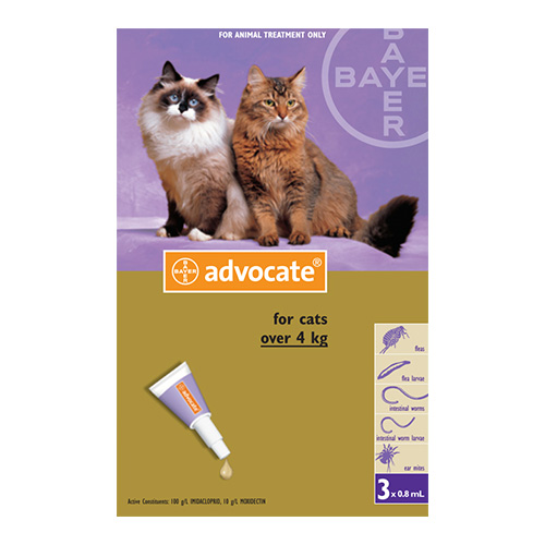 for Large Cats above 4 KG - Purple (0.8ml)