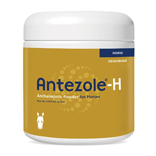 Antezole H for Horses - 250Gm