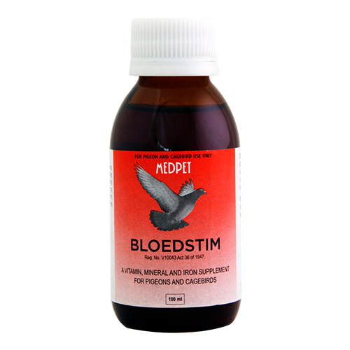 Search Here BudgetPetSupplies.co.za