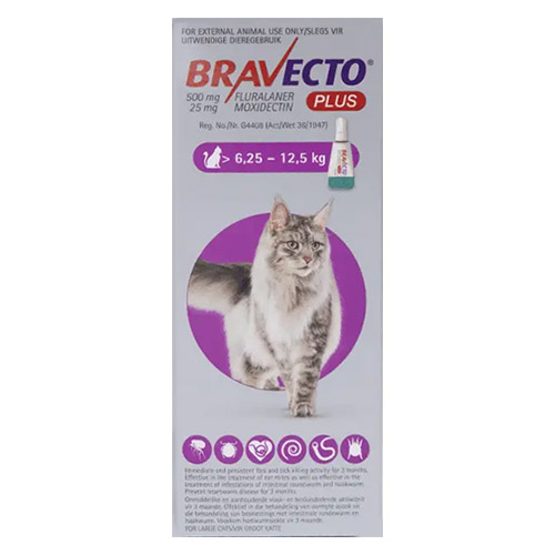 Buy Bravecto Plus for Cats Online