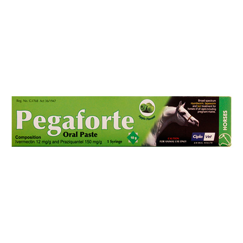 Pegaforte Paste for Horses - 10Gm