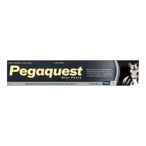 Pegaquest for Horses - 12.2gm