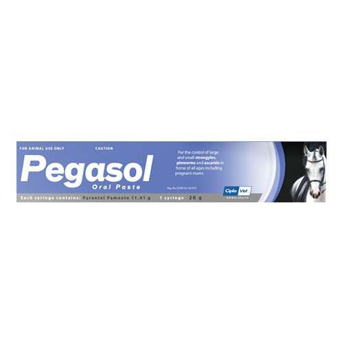 Pegasol Paste for Horses - 26gm