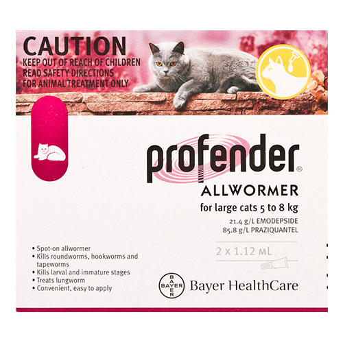 Profender for Cats & Kitten Profender Allwormer Spoton Wormer for Cats