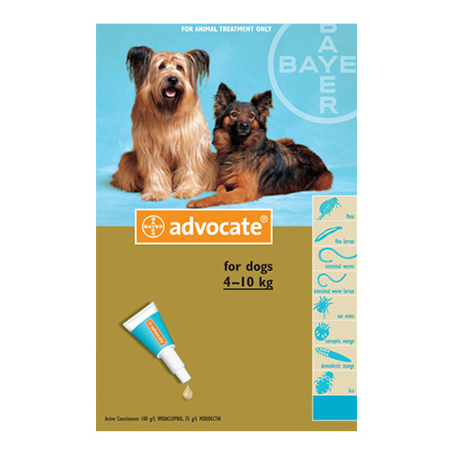 Advocate