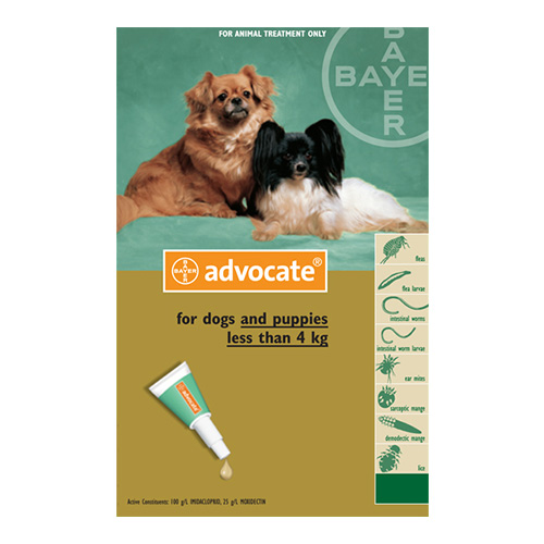 Advocate for dog
