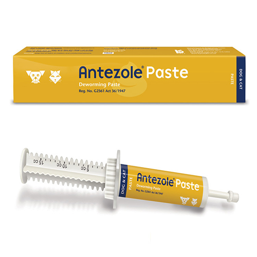 Antezole Paste for Cats and Dogs - 15 ML