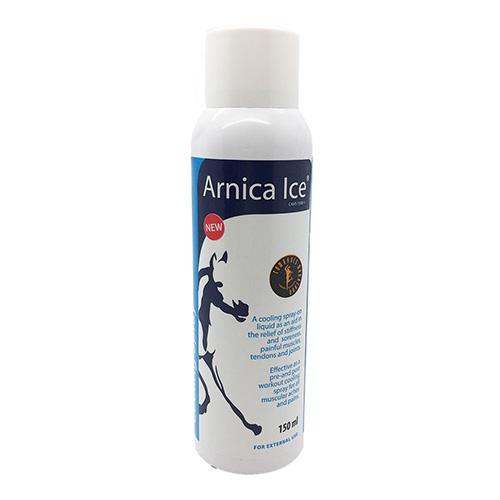 arnica and dogs