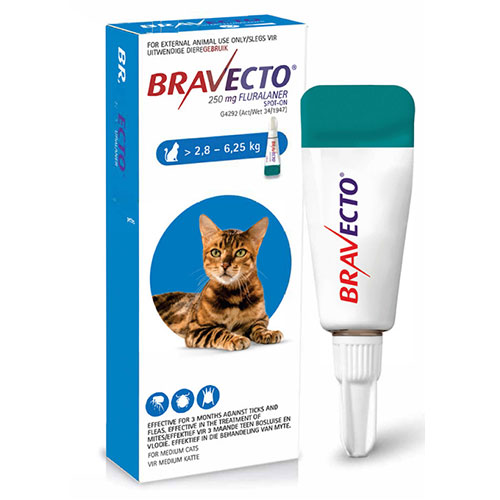 bravecto spot on for cats reviews