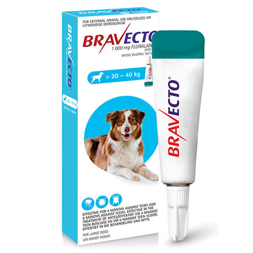Bravecto Spot On for Large Dogs (20 - 40 kg) Blue