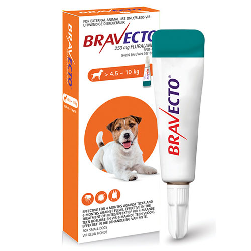 Bravecto Spot On for Small Dogs (4.5-10 Kg) Orange