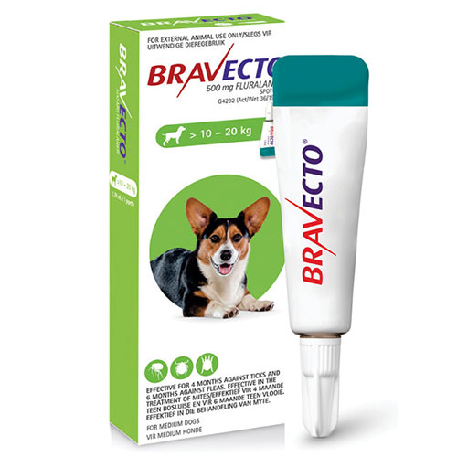 Bravecto Spot On for Medium Dogs (10 - 20 kg) Green