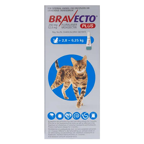 Bravecto Plus for Medium Cats (2.8 to 6.25 Kg)