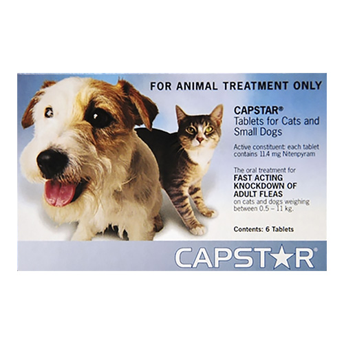 Capstar for Cats and Small Dogs (Blue)