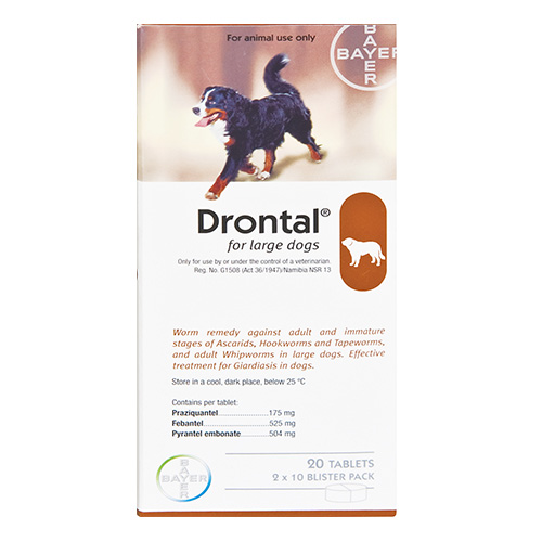 Drontal Tablets for Medium Dogs (10kg)