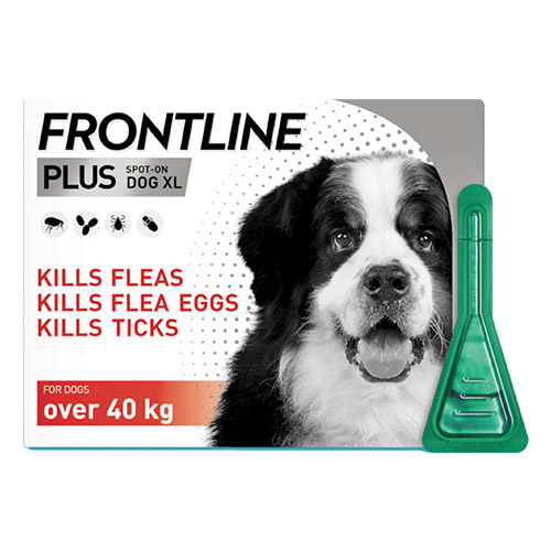 Frontline