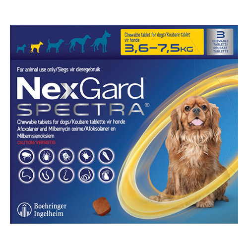 Nexgard Spectra for Small Dogs 3.6-7.5KG