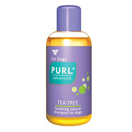 Purl Tea Tree Oil Shampoo 