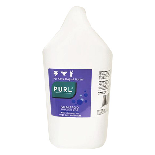 Purl Shampoo 