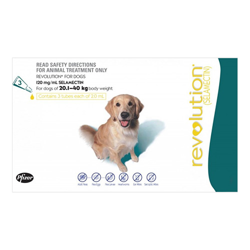 Revolution For X-Large Dogs 20-40KG - Teal (2ML)